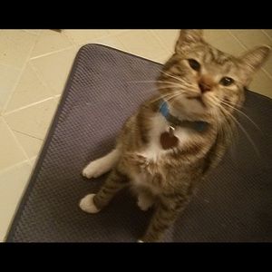 Meet your Posher, Joseph